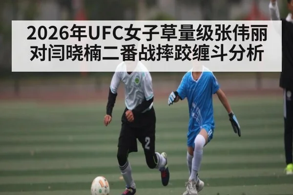 2026年UFC女子草量级张伟丽对闫晓楠二番战摔跤缠斗分析
